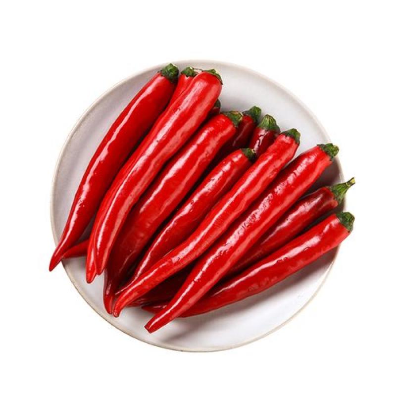 生鲜 蔬菜 红尖椒 红杭椒200g/Roter Pfeffer Red Hangjiao 200g