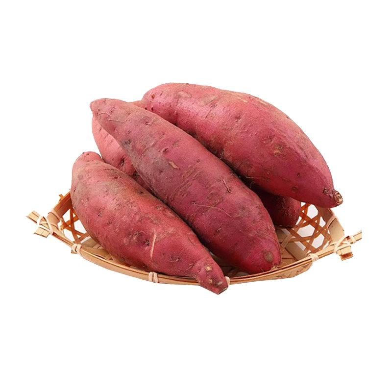 生鲜 红薯 地瓜 黄心番薯 约1kg/orange Süßkartoffel ca 1kg