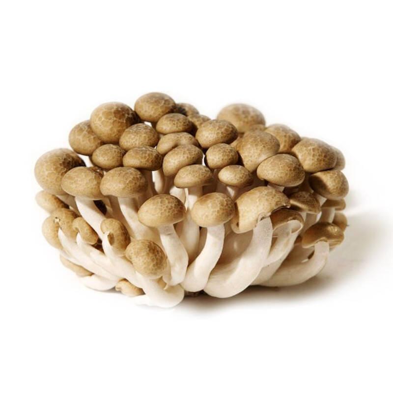 生鲜 蟹味菇 150g/ Simiji braune pilze ca 150g