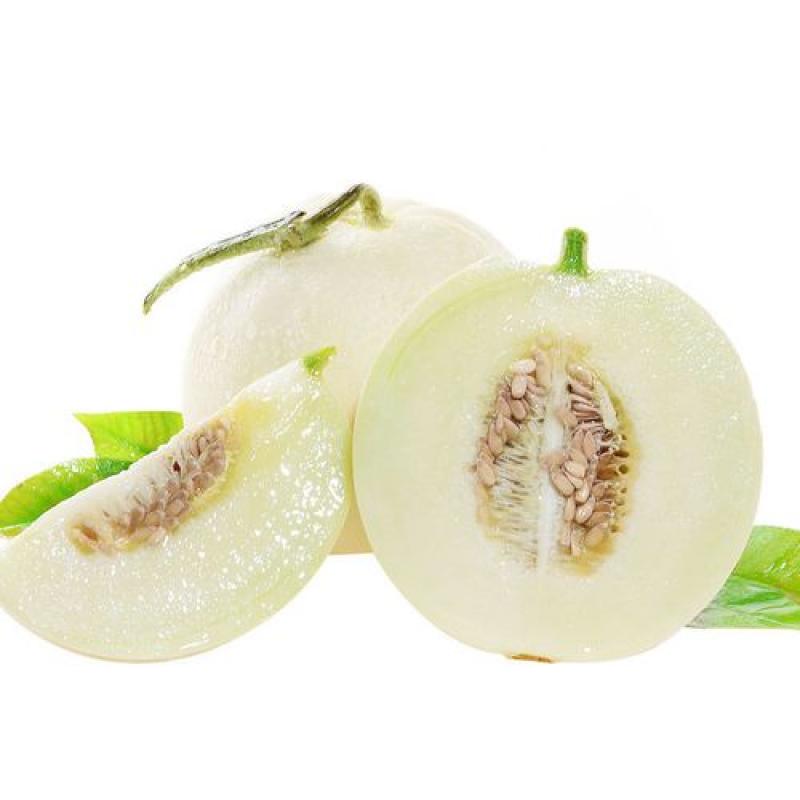 生鲜 水果 白沙蜜 小甜瓜 白玉甜瓜 香瓜 1kg/Little Melon White Jade Melon Xianggua 1kg