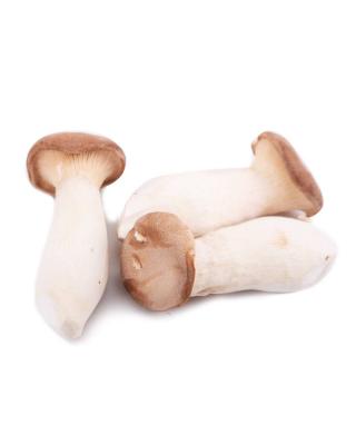 生鲜 散装 大个 杏鲍菇  约500g/pilze ca 500g