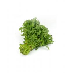 生鲜 茼蒿300g/Frisches Gemüse Chrysantheme 300g