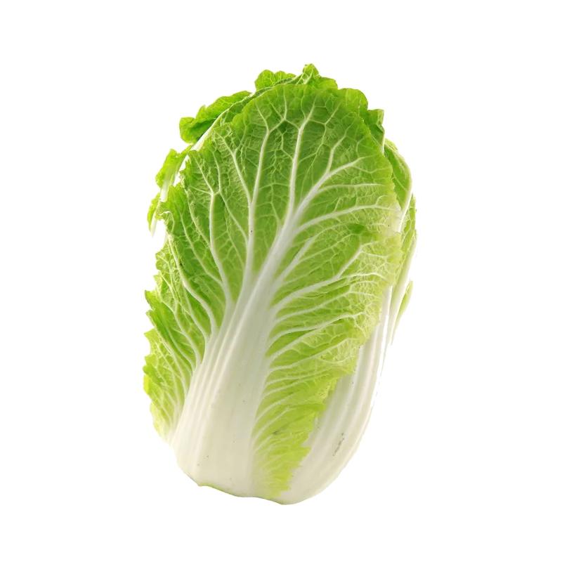 生鲜 白菜 大白菜 1颗约 1~1.3kg
