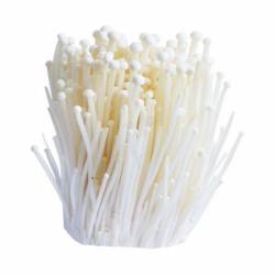生鲜 金针菇 200g