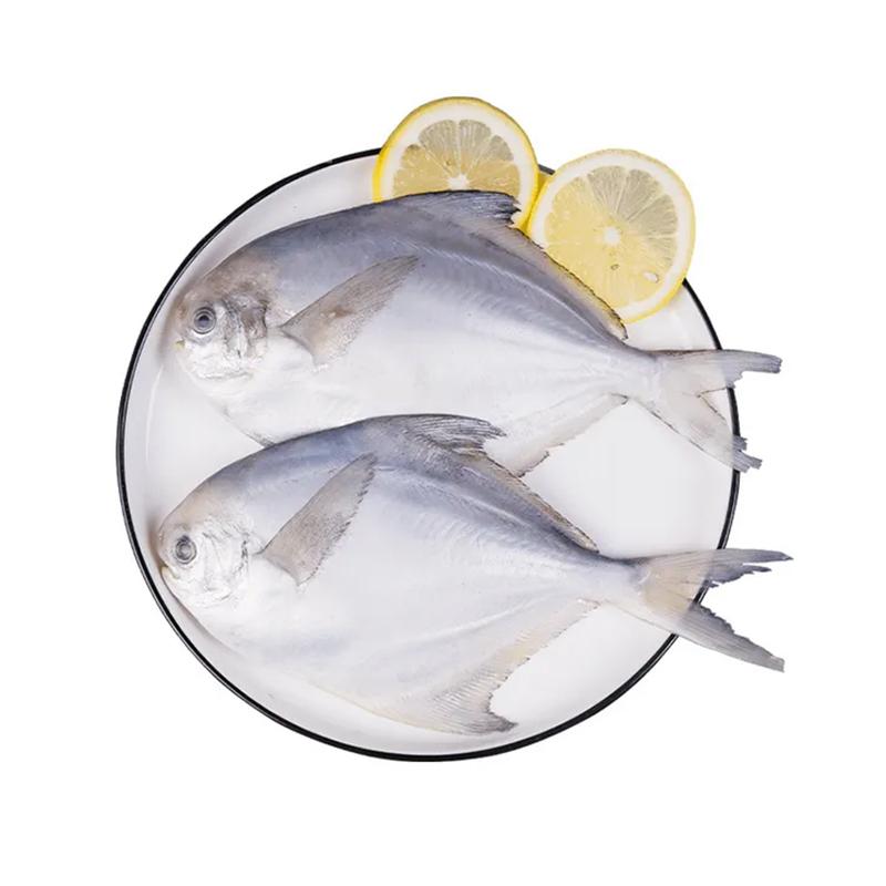 生鲜 冷冻 银鲳鱼 200/250g 约1kg/袋