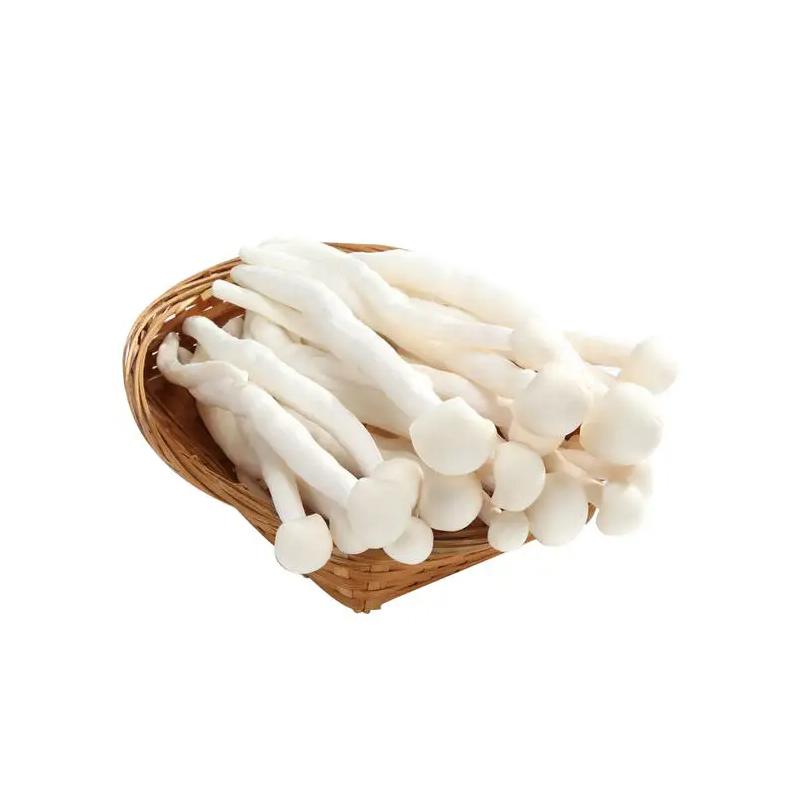 生鲜 白雪菇 Snow mushroom 150g