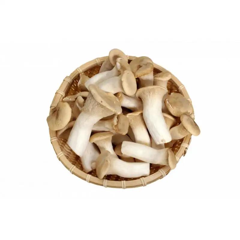 生鲜 迷你杏鲍菇250G