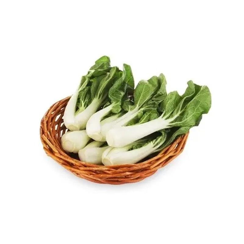 生鲜 荷兰奶白菜500g