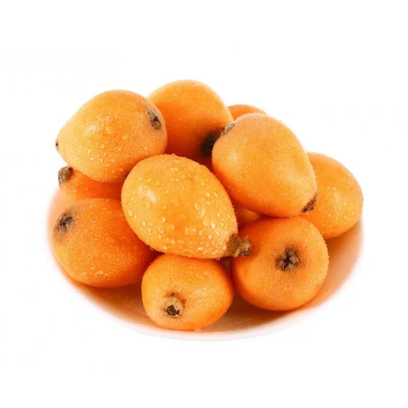 生鲜 新鲜水果枇杷500g/Loquat 500g