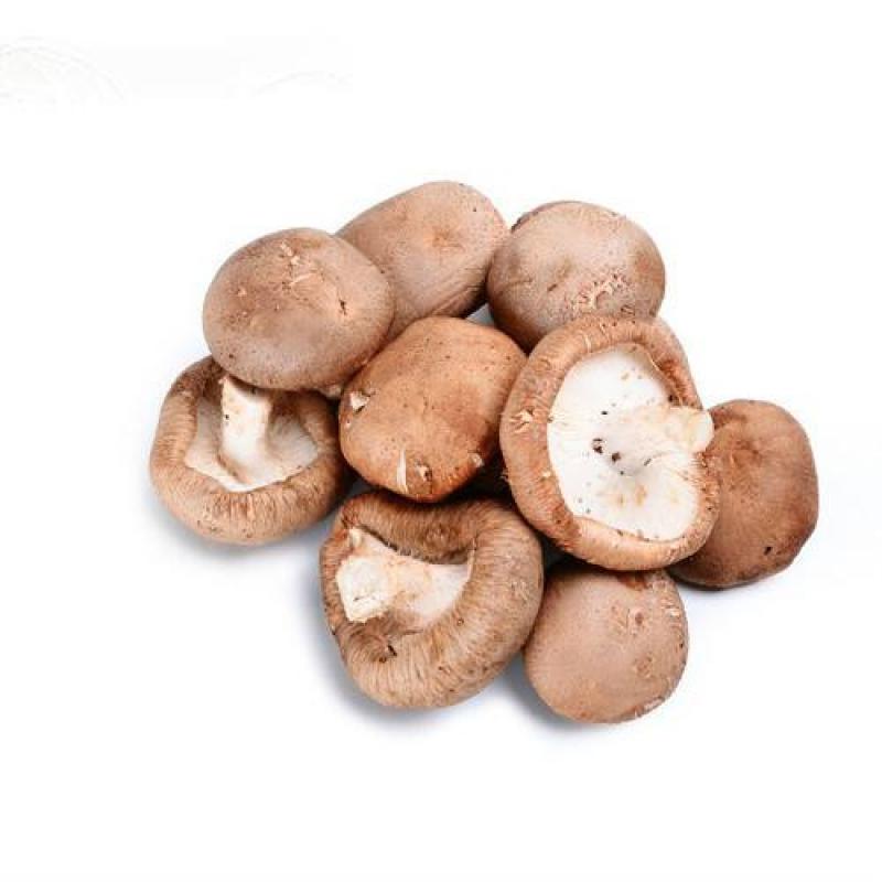 生鲜 散装 新鲜香菇250g/Pilz 250g