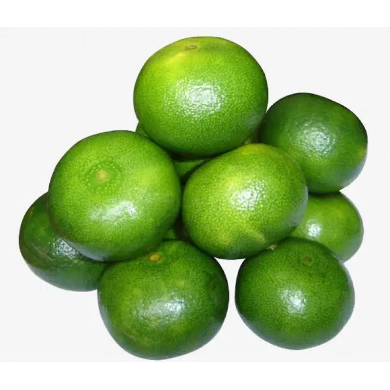 生鲜 水果 青橘子1kg/Frucht grün orange 1kg