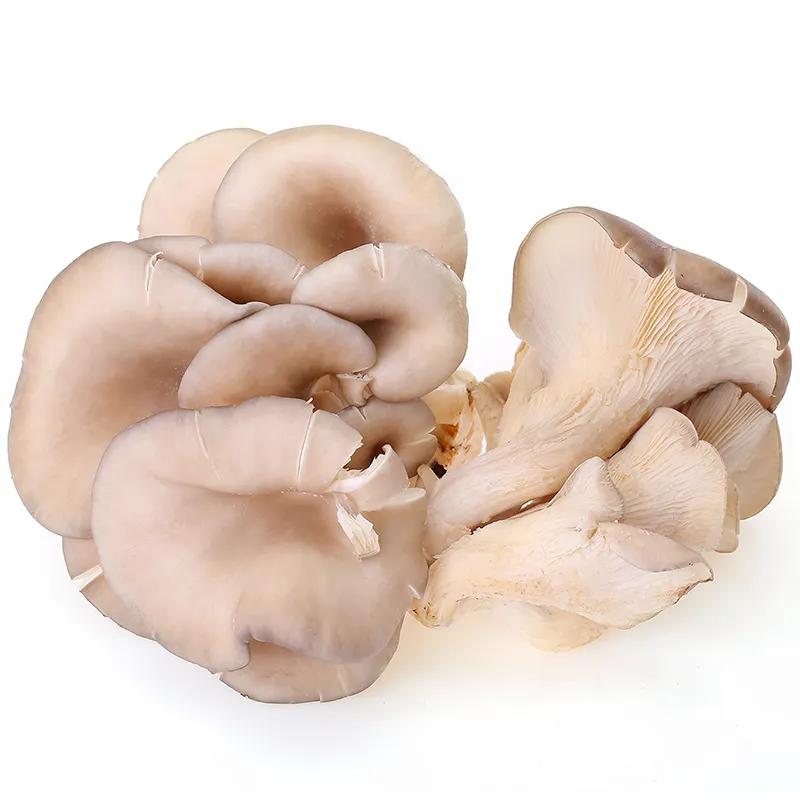 生鲜 盒裝平菇 200g/Pilz in Schachtel 200g