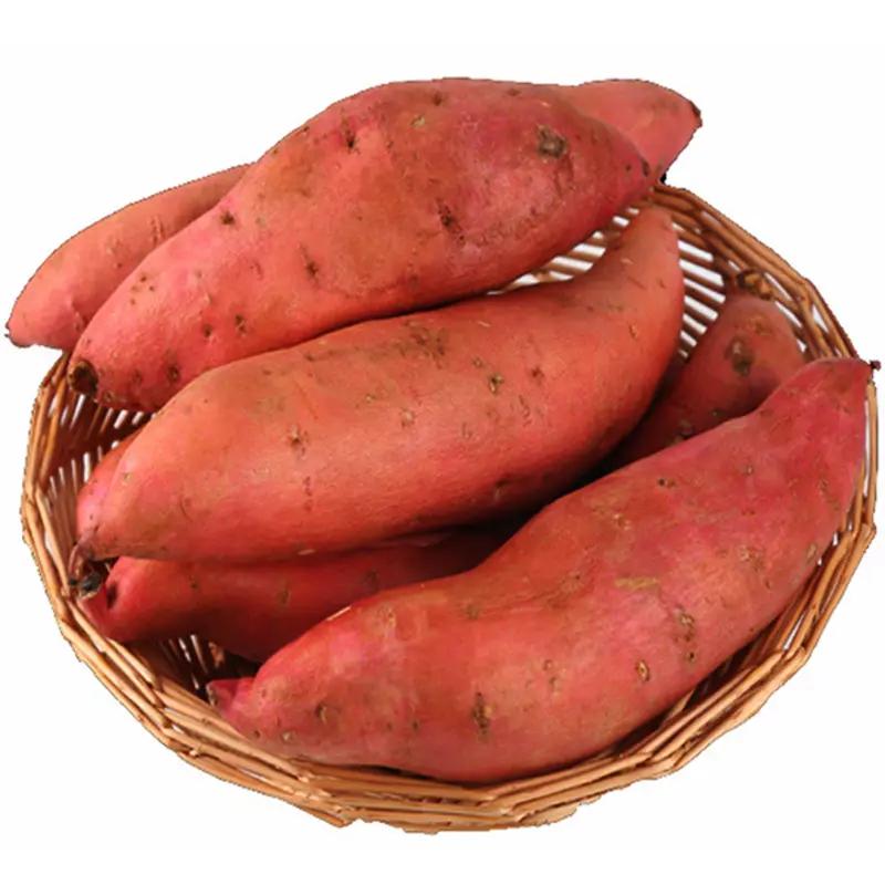 生鲜  白薯 红皮/紫皮 白心番薯 地瓜1kg