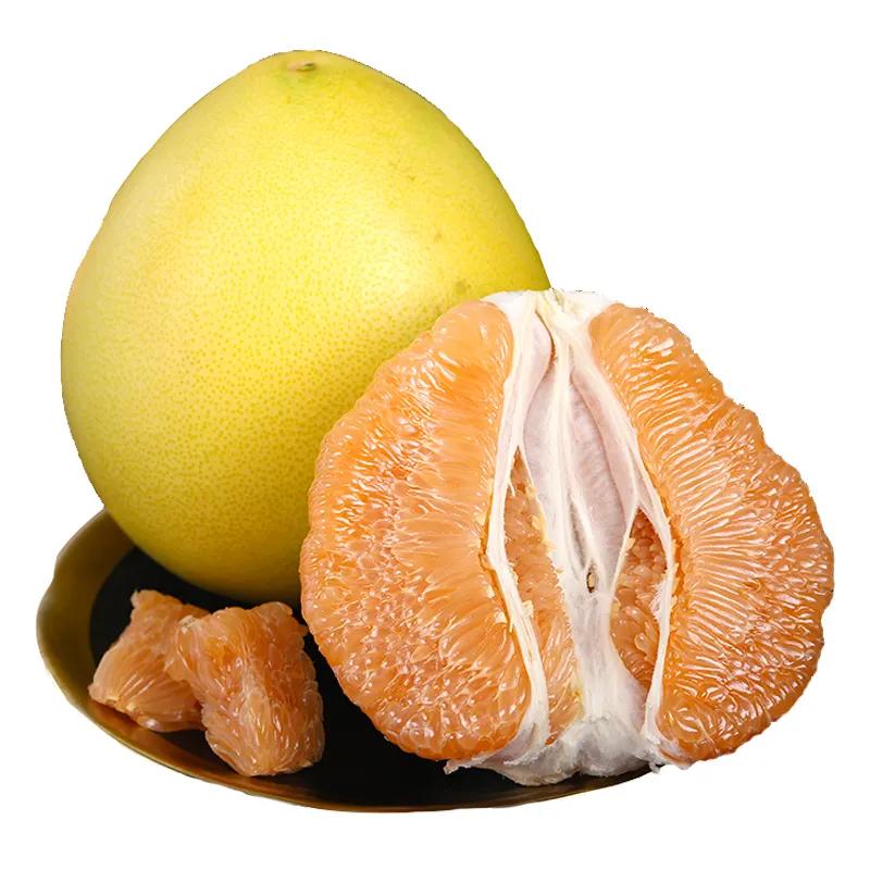 生鲜 水果 黄金柚 1个 约600-750G