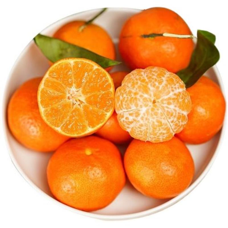 生鲜 水果 桔子 橘子 约1Kg/Zuckerorange1000g