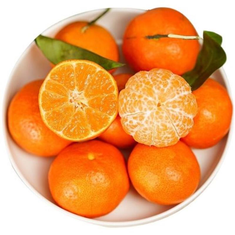 生鲜 水果 橘子 1000g/Zuckerorange1000g