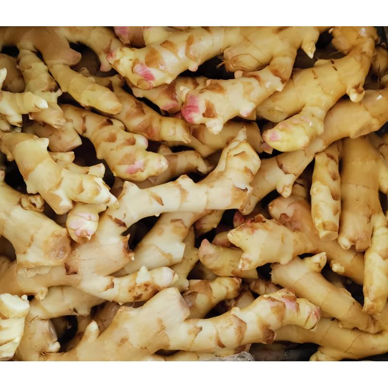 生鲜 新鲜嫩姜300g/tender ginger