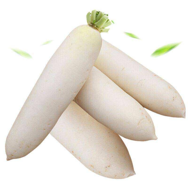 生鲜 白萝卜一颗  约0.8- 1kg/Rettich ca. 0.8- 1kg