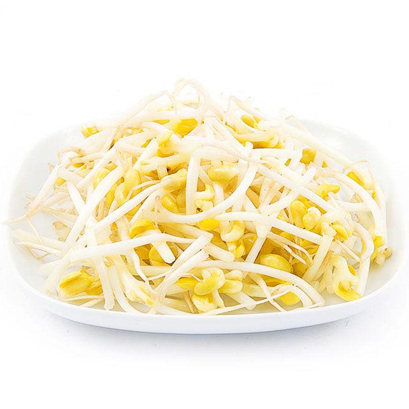 生鲜 新鲜 黄豆芽 豆芽 500g