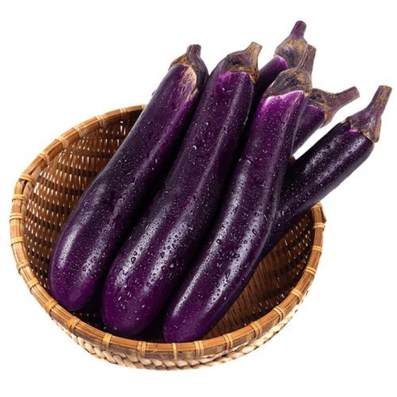 生鲜 茄子 一等长茄子500g/Aubergine erster Ordnung 500g