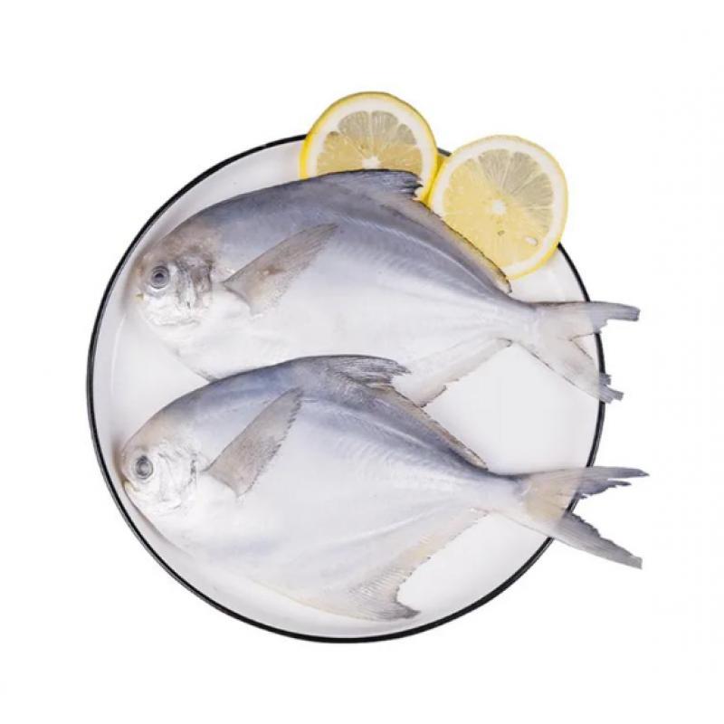 生鲜 冷冻 银鲳鱼 300/400g 约1kg/袋