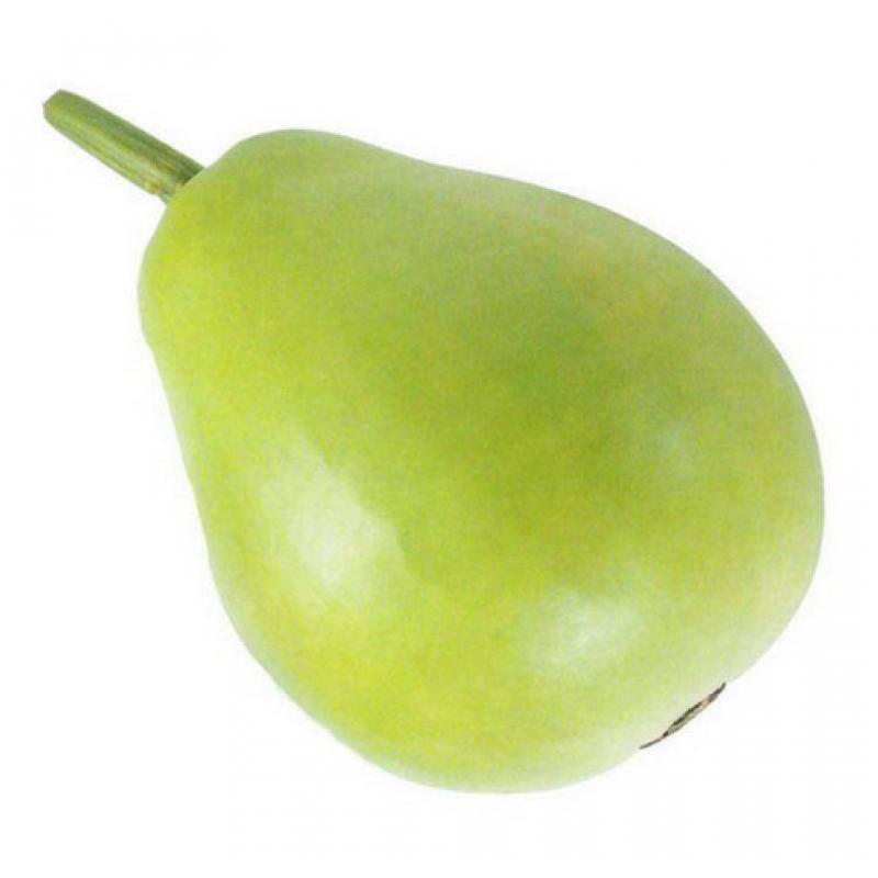 生鲜 圆蒲瓜/西葫芦 1个 约1.3-1.5kg