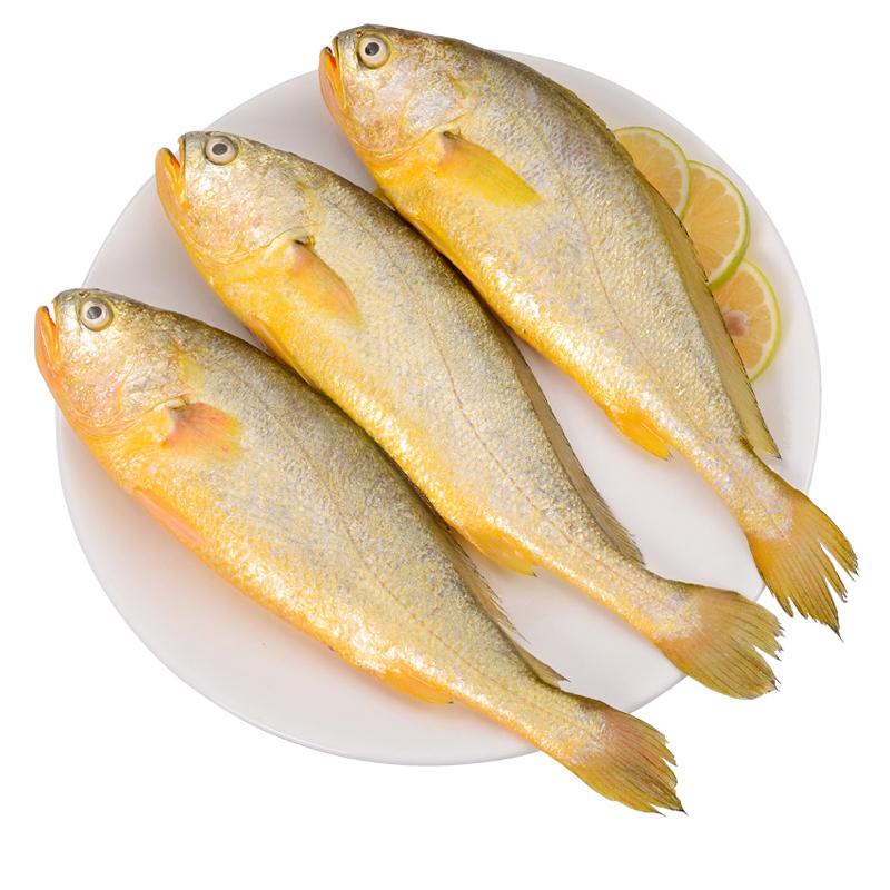 生鲜 冷冻 海鲜 小黄鱼1kg含冰20%