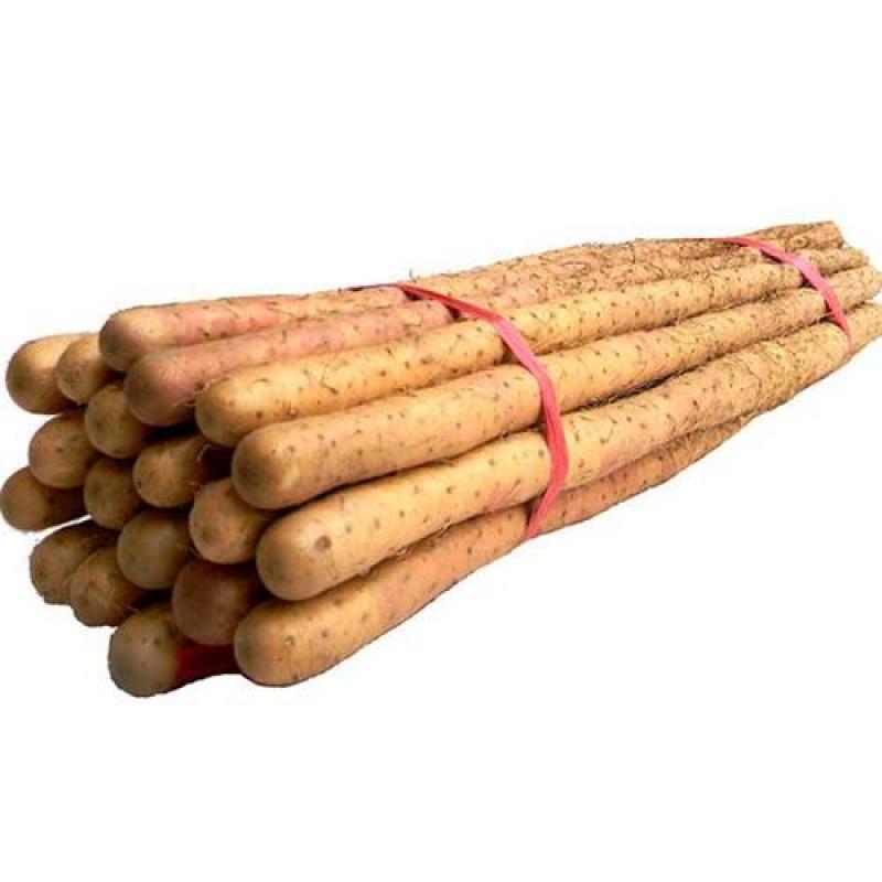 生鲜 铁棍山药500g/Iron stick yam 500g
