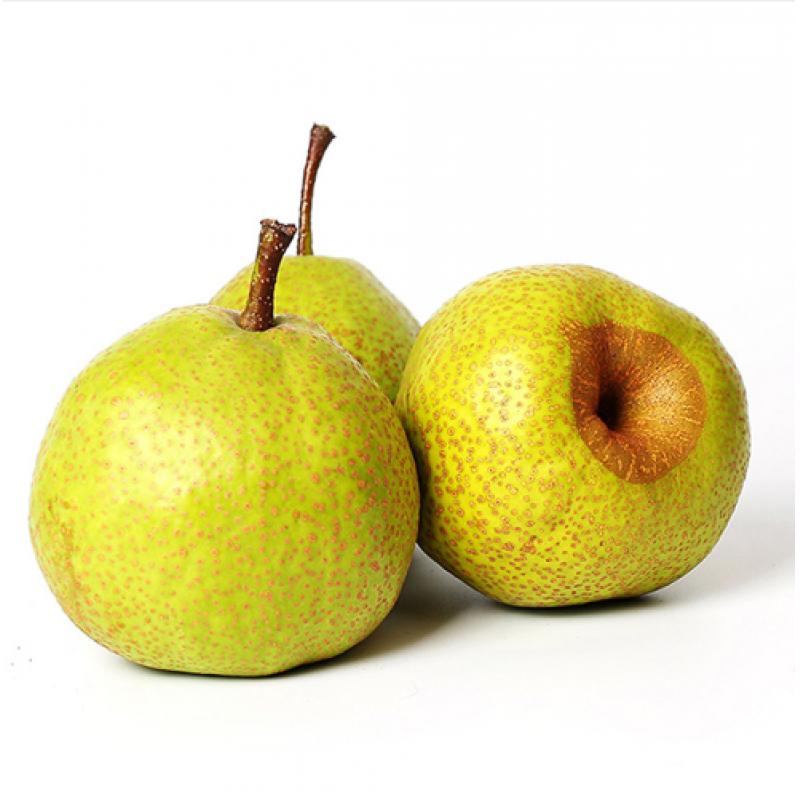 生鲜 莱阳梨 900G-1KG