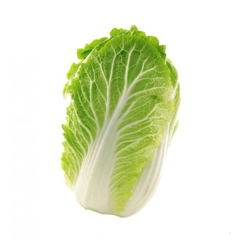 生鲜 白菜 大白菜 1颗约 0.9-1.4kg/1 Chinakohl, ca. 0,9-1,4kg