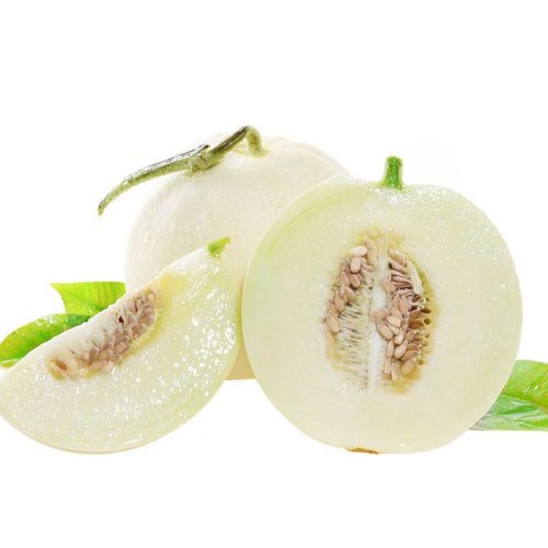 生鲜 水果 白脆蜜瓜 香瓜 约1-1.2kg/Little Melon White Jade Melon Xianggua
