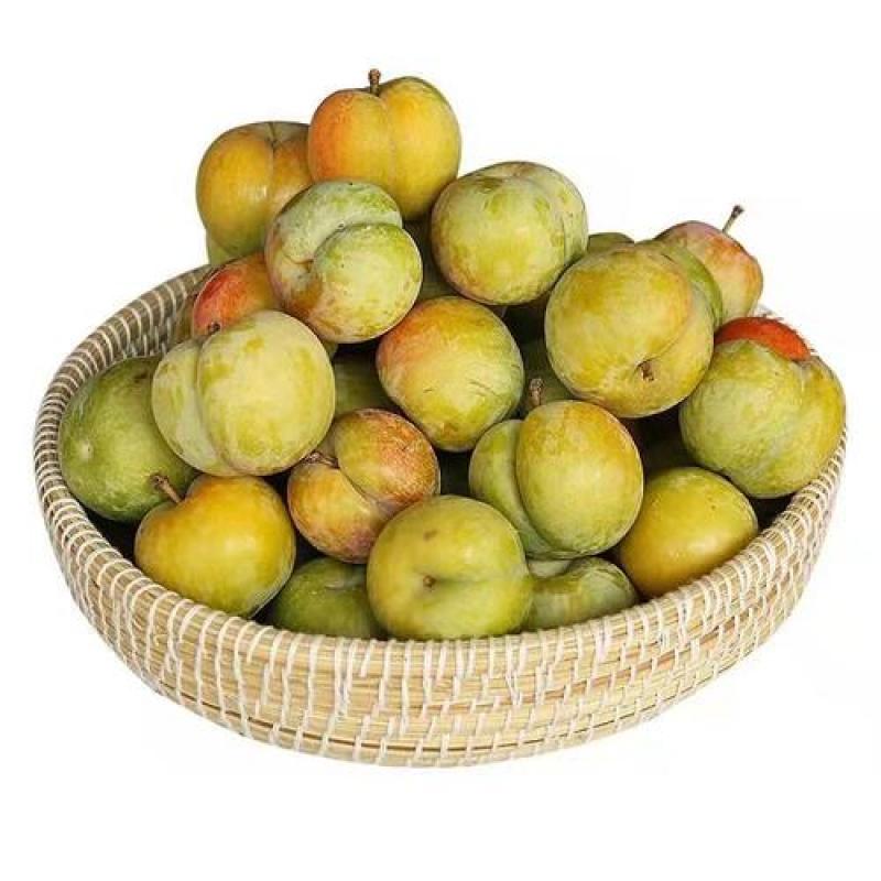 生鲜 水果 鹅蛋李子 李子500g/Plum（Dinosaur Egg Plum)