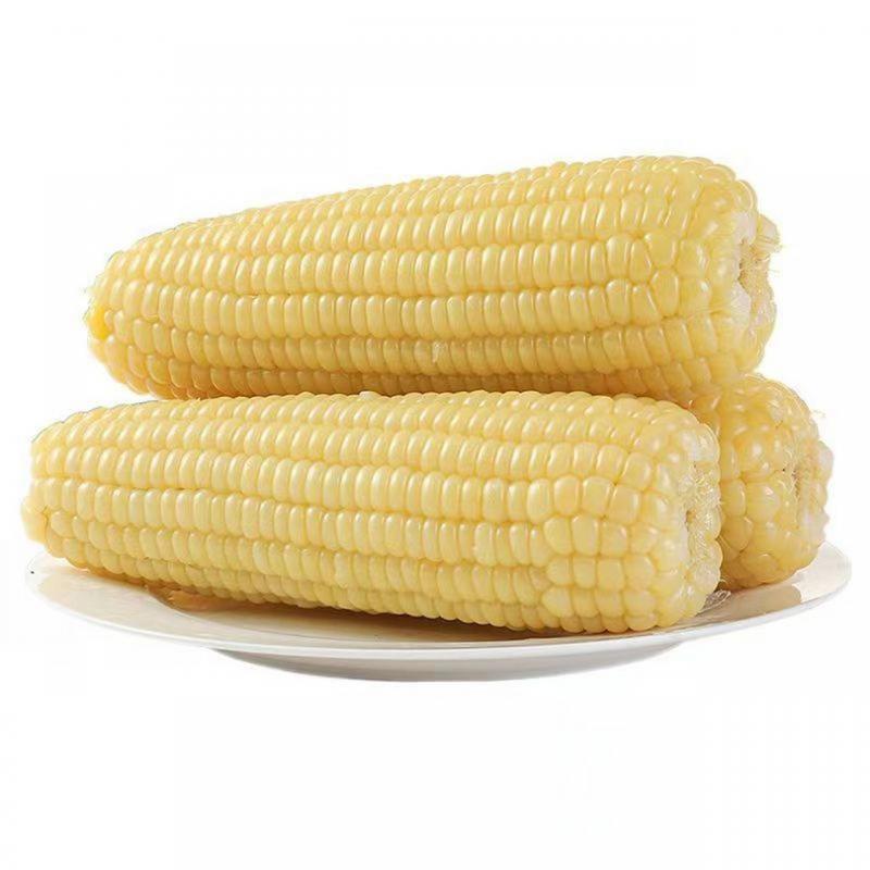 生鲜 新鲜 白色 真空糯玉米220g/Vacuum Waxy Corn