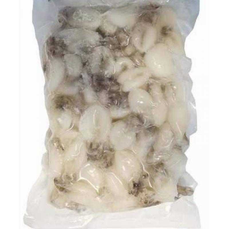 生鲜 冷冻 椰树牌 小墨鱼仔1kg/TCT Kleine Sepien  (roh), 30% 