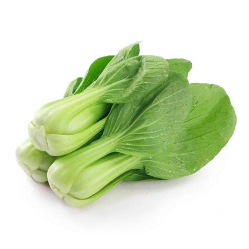 【München】 上海青 Pakchoi 500g