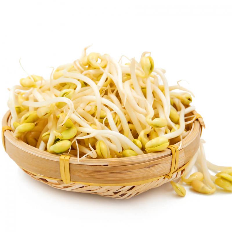 【München】黄豆芽 Sojabohnensprossen