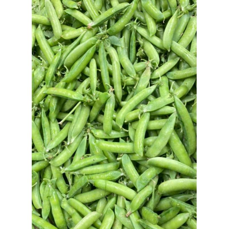 【München】 甜豌豆  Zuckererbsen 250g