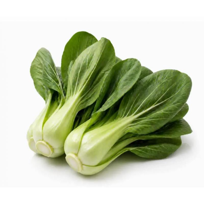 【München】上海青 mini Pakchoi Mini 300g