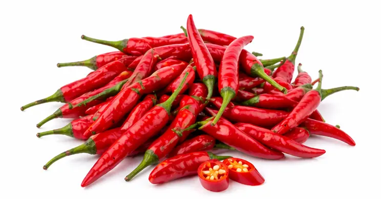【München】小米椒 kleine rote Chilischote 100g