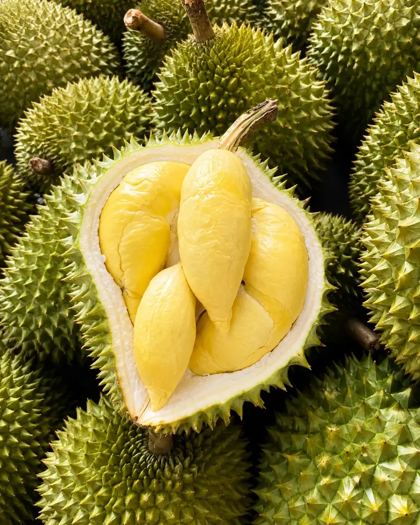 【München】榴莲 Durian
