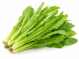 【München】油麦菜 Mak Choi